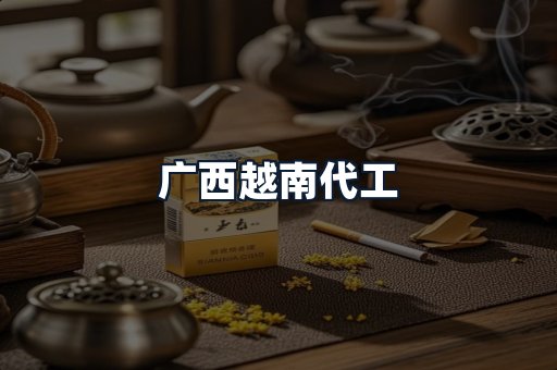 广西越南代工